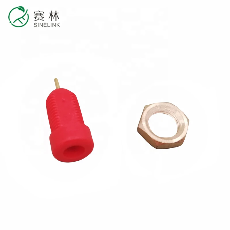 socket for EEG